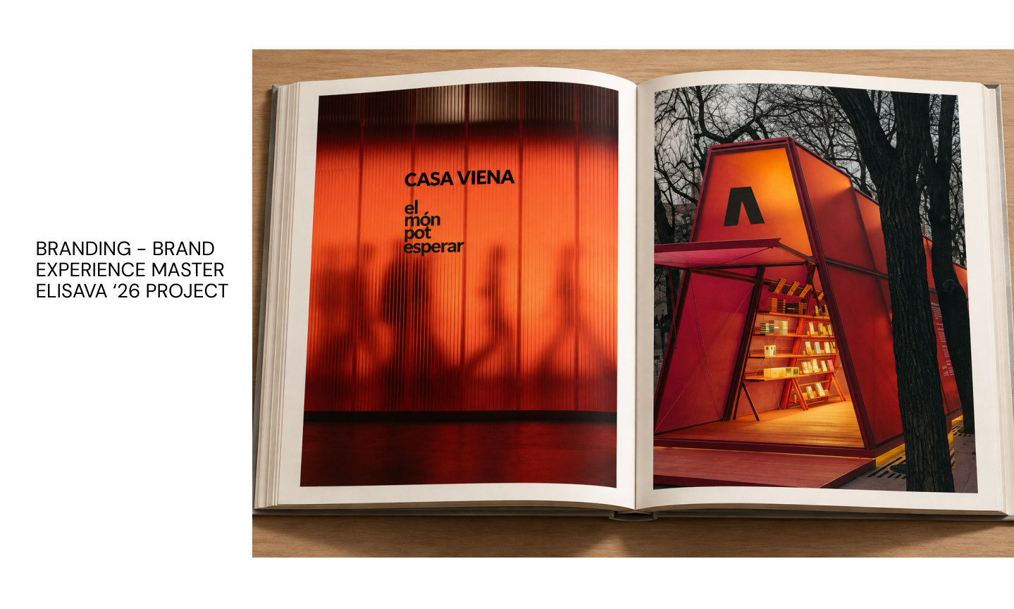 Viena — Elisava project — original book page 28